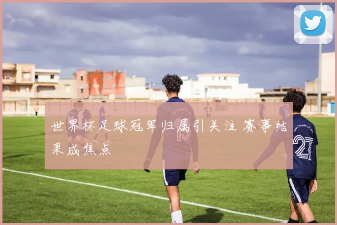 世界杯足球冠军归属引关注 赛事结果成焦点
