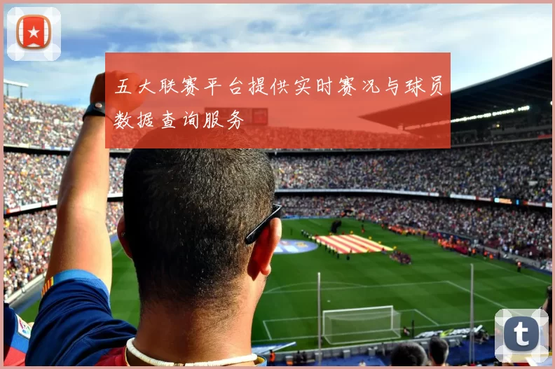 五大联赛平台提供实时赛况与球员数据查询服务