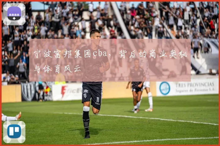 宁波富邦集团cba，背后的商业奥秘与体育风云